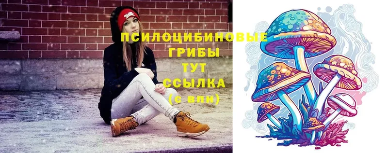 omg ссылки  Светогорск  Псилоцибиновые грибы Psilocybine cubensis 